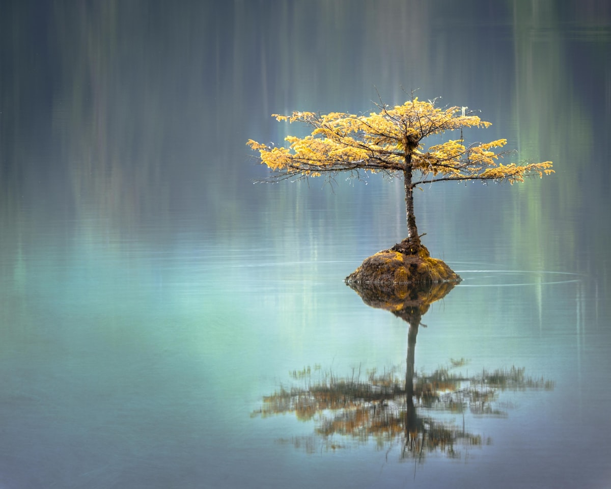 Still water
